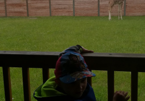 Chłopiec obserwuje żyrafę